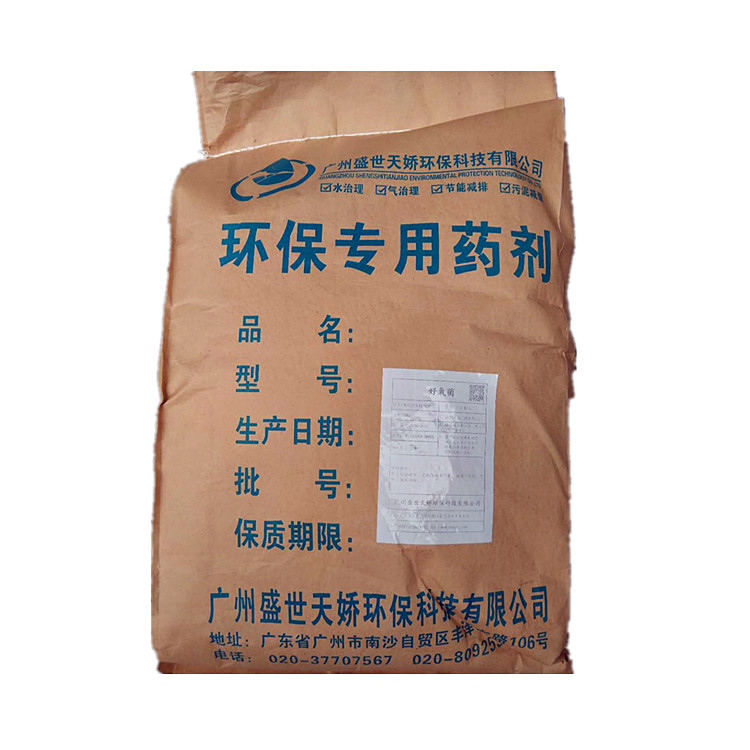 好氧菌201109_副本