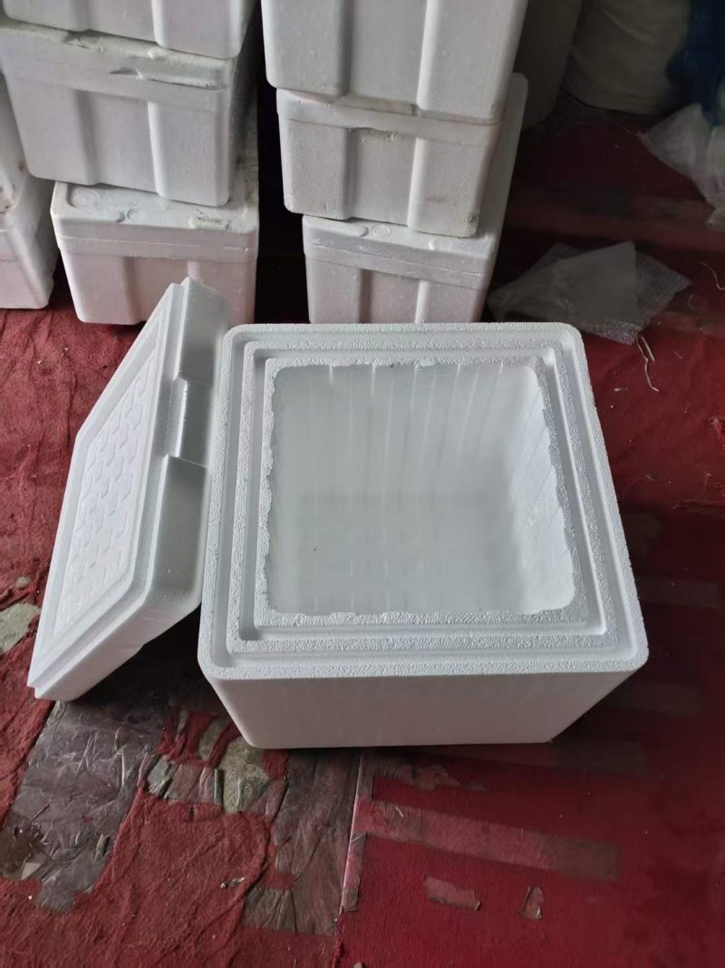 微信图片_2026-05-30_081313_485